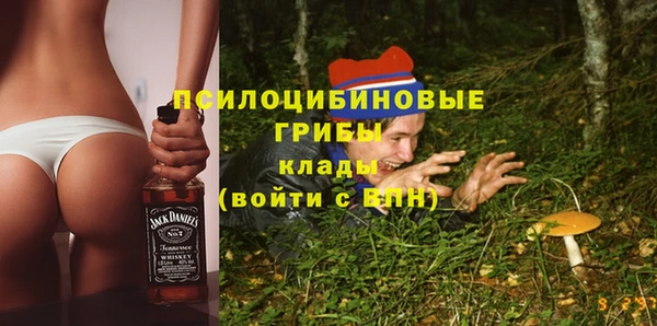 бошки Абинск