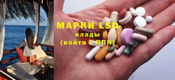 ГАЛЛЮЦИНОГЕННЫЕ ГРИБЫ Абаза