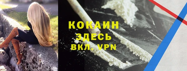 ГАЛЛЮЦИНОГЕННЫЕ ГРИБЫ Абаза